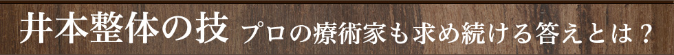 プロも認めるその技術とは